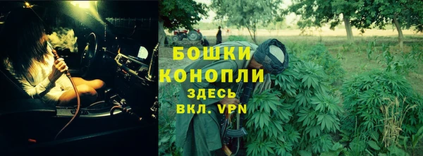 бошки Медногорск